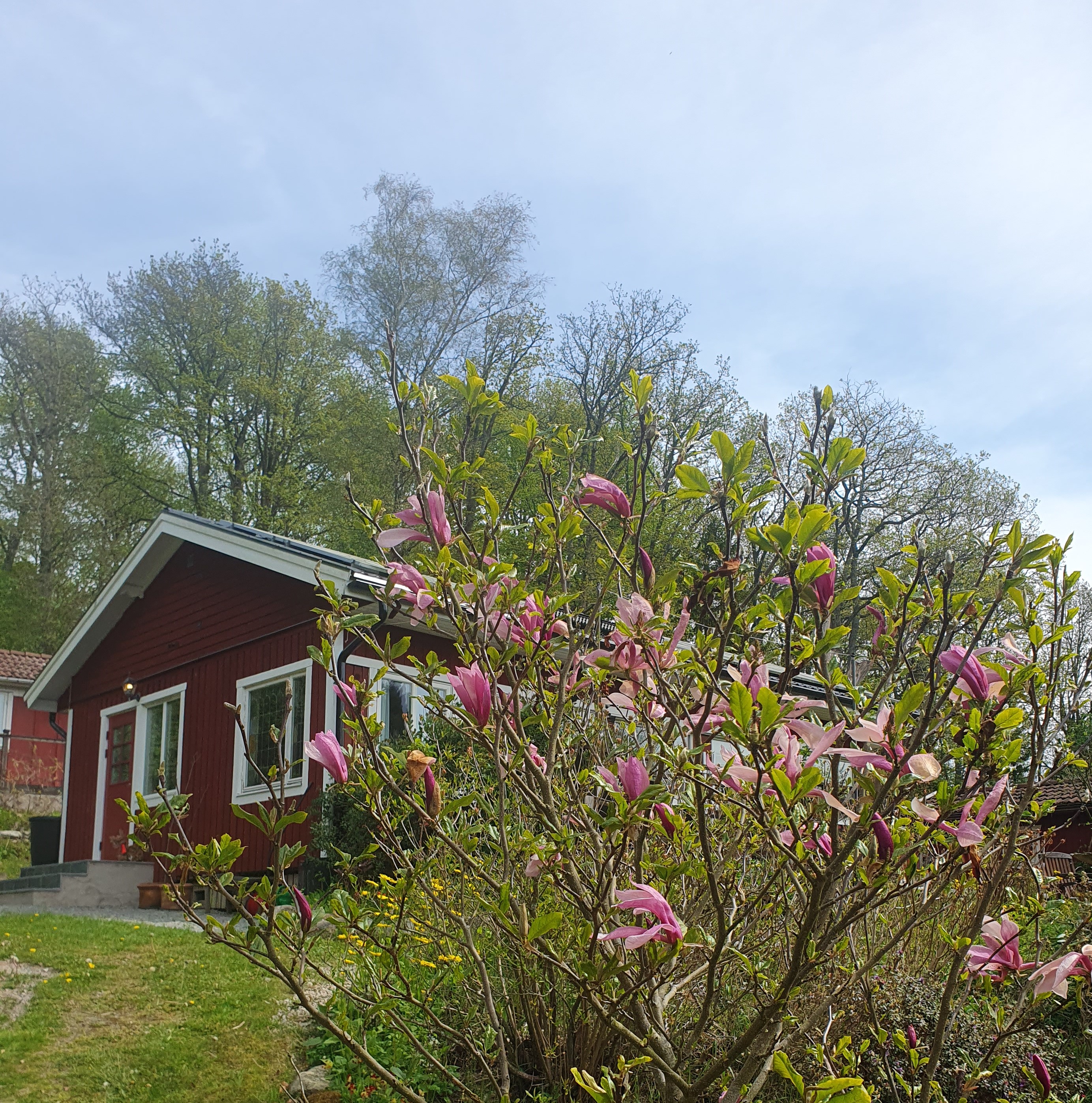 Foto på Solbackens storstuga.